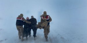 Tipide mahsur kalanların imdadına Van Büyükşehir Belediyesi yetişti