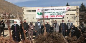 Keban'da çiftçiye 13 bin meyve fidanı dağıtıldı