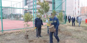 Şiddet sonucu hayatını kaybeden kadınların isimleri fidanlarla yaşatılacak