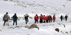 Ağrı'da yabani hayvanlar için karlı dağlara yem bırakıldı