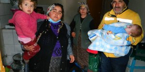 Posof'ta çıkan yangında evleri tamamen yandı