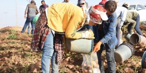 Tarım ve hayvancılık sektörü 2020 yılında Bitlis'e 3 milyar TL kazandırdı