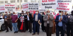 Evladı dağa kaçırılan anneden Pervin Buldan'a tokat gibi cevap