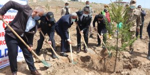 Afrin şehidinin ismi Van'da oluşturulan ormanda yaşatılacak