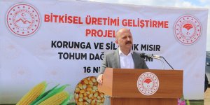 Ağrı'da silajlık mısır ve korunga tohumuyla tarımda verimliliğin artırılması hedefleniyor