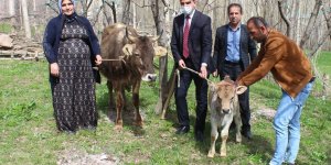 Bakan Pakdemirli'den, Diyarbakır annesine inek ve buzağı
