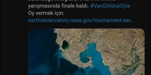 Van Gölü'ne oy yağmuru: NASA'nın sitesi çöktü