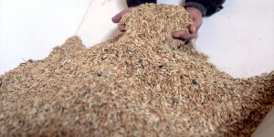 Ata tohumuna sahip çıkan Ardahanlı çiftçi devlet desteğiyle tesis kurdu