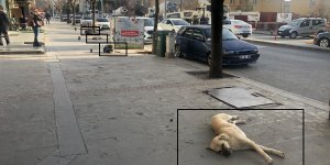 Sosyal mesafeli şekerleme