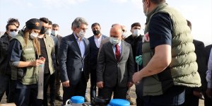 Ağrı'da suni tohumlamayla hayvan varlığı ve kalitesi artırılacak