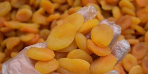 Malatya kayısısı 105 ülkede damakları tatlandırdı