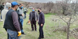 Tunceli'de yabani menengiçe aşılanacak Antep fıstığı köylünün gelir kapısı olacak