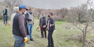 İlçeye katma değer, 24 bin yabani menengiç ağacında Antep fıstığı yetişecek