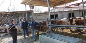 Iğdır İl Tarım Müdürlüğünden işletmelere ziyaret