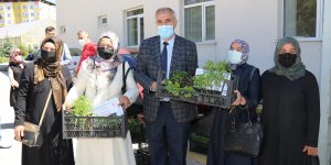 Erzurum'da sebze yetiştiriciliğine kadın eli değecek