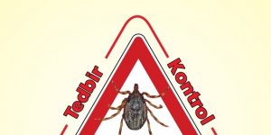 Doğada bulunurken kene popülsyonuna dikkat!