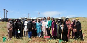 Bingöl'de kadınlar, 3 bin fidanı toprakla buluşturdu