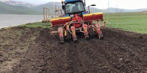 Çıldır 20 çiftçi ile 200 dönüm sılajı ekimi projesi