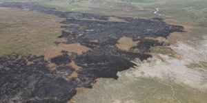 Erzincan'da koruma altında bulunan Ekşisu Sazlık Alanı'ndaki yangın söndü