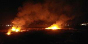 Erzincan'da kuş cennetinde yangın