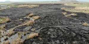 Erzincan'da kuş cennetinde gece çıkan yangın tamamen söndü