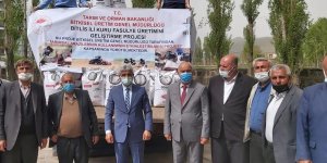 Bitlis'te sertifikalı kuru fasulye tohumu dağıtımı