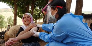 Patika yolları aşan sağlıkçılar, berivanlara korona virüs aşısı ulaştırdı