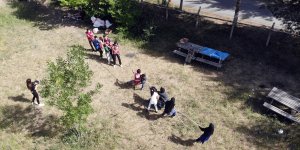 Ağrı'da yaşayan Suriye, İran ve Afganistanlı aileler piknikte bir araya geldi