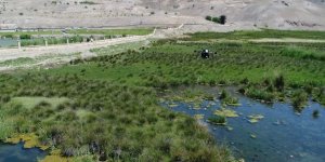 Erzincan'da sulak alanlar havadan ilaçlandı