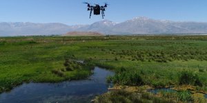Ekşisu Mesire Alanı çevresi drone ile ilaçlanıyor