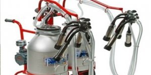Süt üreticilerine sağım makinesi desteği