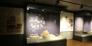 Tunceli müzesi Avrupa Müze Ödülü'ne talip