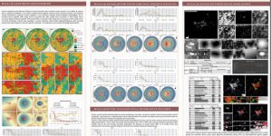 İnönü Üniversitesi Peyzaj Mimarlığı Bölümü'nden başarı