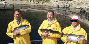 Balıkçılık ve Su Ürünleri Genel Müdürü Atalay, Keban'da incelemelerde bulundu