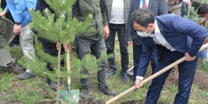 Sarıkamış Harekatı şehitleri anısına Kars'ta fidanlar toprakla buluştu