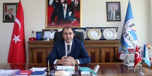 Başkan Berge: "2022 yılı Van Gölü yılı ilan edilmeli"