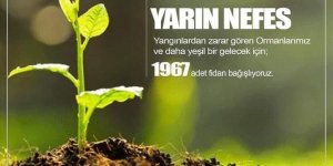 Elazığspor, 1967 fidan bağışlayacak