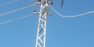 Elazığ'da elektrik teline takılan leylek kurtarıldı