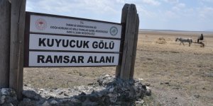 Ne bir damla su ne de kuş kaldı