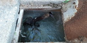 Günpınar Mahallesinde su sorunu