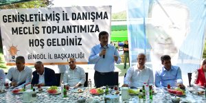 Cevdet Yılmaz, Bingöl'de AK Parti Genişletilmiş İl Danışma Meclisi Toplantısı'nda konuştu: