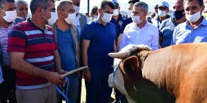 Yeşilyurt'ta bayram hazırlıkları tamamlandı, 44 noktada kurban satış ve kesim işlemleri yapılacak