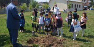 15 Temmuz şehitleri anısına Tatvan'da 251 fidan dikildi