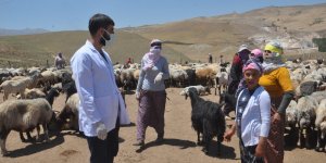 Sağlık çalışanları dağ tepe demeden berivanları, çobanları ve çiftçileri aşılıyor