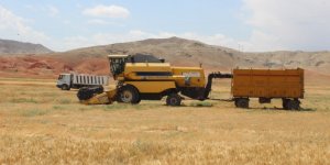 Binlerce dönümlük çorak arazi yeniden tarıma kazandırılıyor