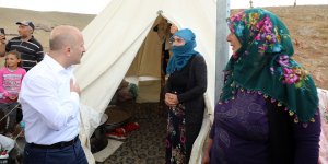 Ağrı Valisi Varol, devlet desteğiyle koyun sahibi olan çiftçileri yaylada ziyaret etti: