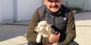 Iğdır'a yeni emniyet müdürü atandı