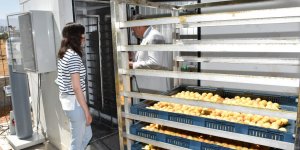 Bilim insanlarının geliştirdiği kayısı kükürtleme odası tam not aldı