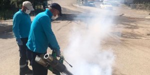 Hakkari'de sivrisineklere karşı kanal sisleme çalışması