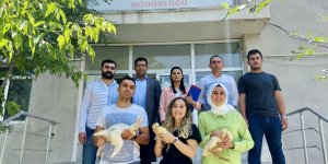 Ağrı'da kaz desteği ile kadınlara iş imkanı